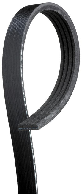 Standard V-Ribbed Serpentine Belt | ACD4K319